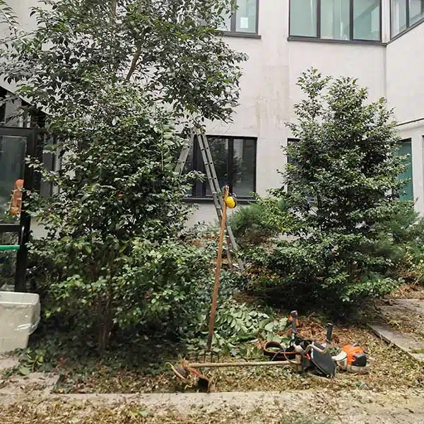 Progettazione-parchi-urbani-Milano