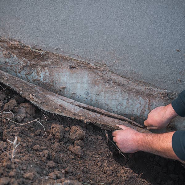 ditta-specializzata-nella-manutenzione-giardini