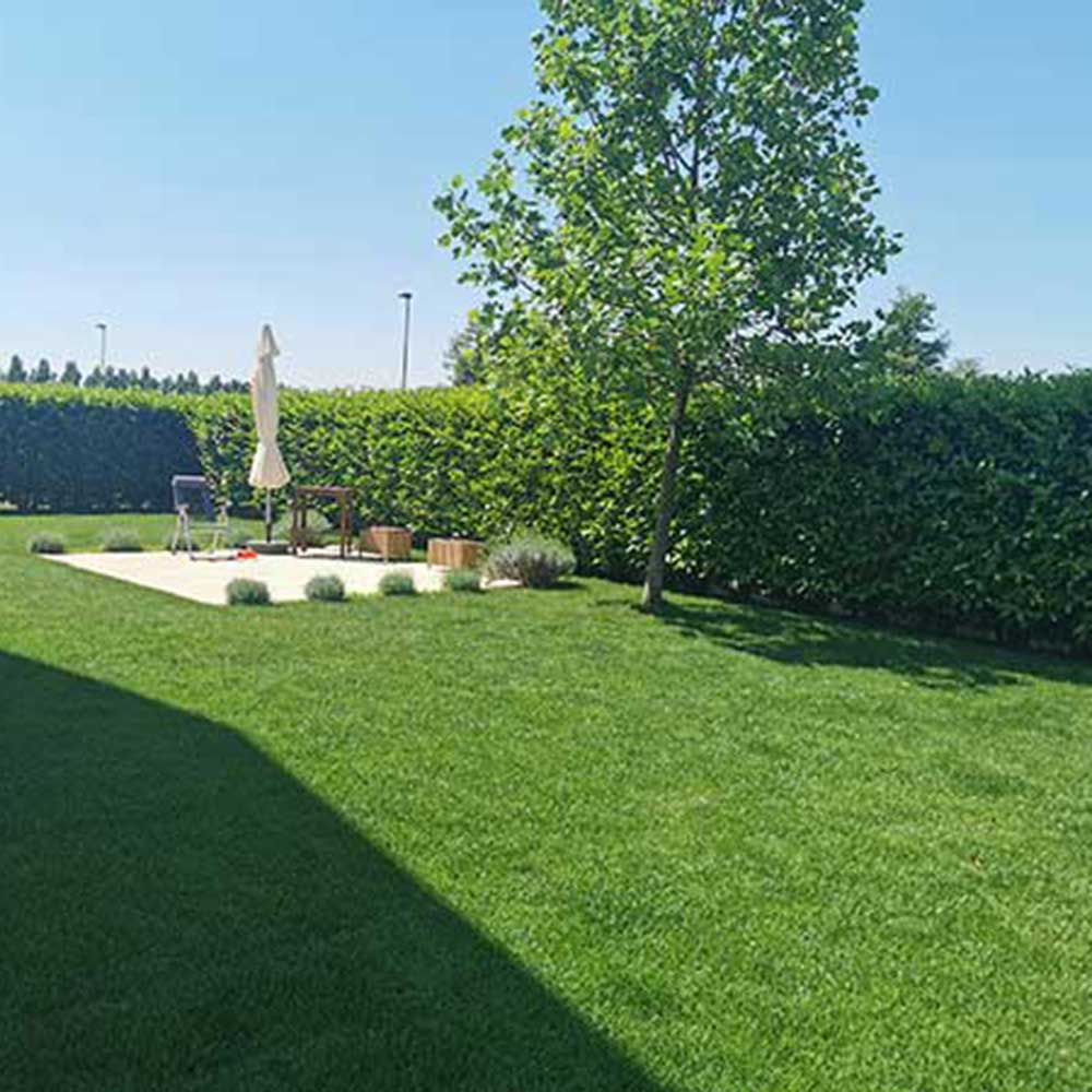 giardiniere-disinfestazioni-trattamento-piante-milano giardiniere-disinfestazioni-trattamento-piante-milano