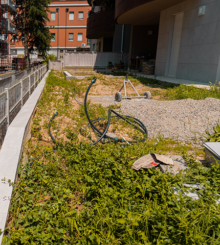 interventi-di-manutenzione-giardino