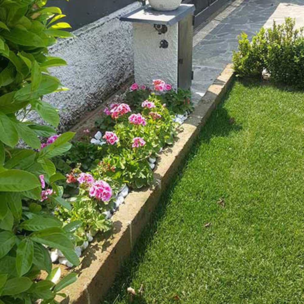 realizzazione-sistemi-antizanzare-rozzano realizzazione-sistemi-antizanzare-rozzano